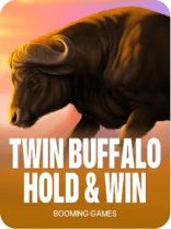 Twin Buffalo Hold & Win by Booming Games