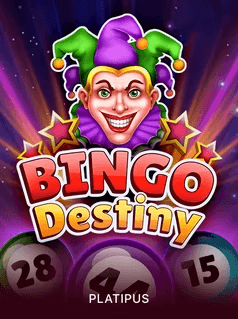 Bingo Destiny 1Win Bingo Destiny Lottery Game